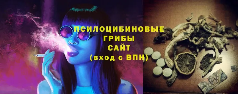 Галлюциногенные грибы Psilocybine cubensis  blacksprut ссылки  Курчатов 